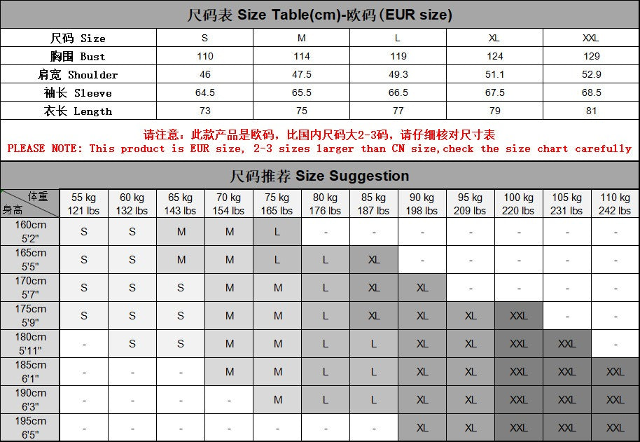 Men's Mandarin Collar Shirt - 2025 Spring Slim-Fit Casual Long Sleeve Top | SH2135