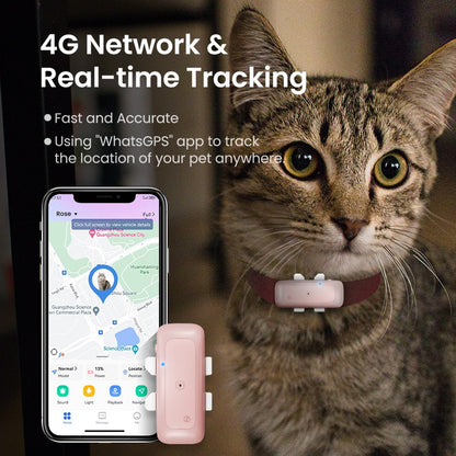 Localisateur d'animaux de compagnie sans fil de haute qualité Collier pour animaux de compagnie Mini localisateur de suivi GPS pour animaux de compagnie | S26L 