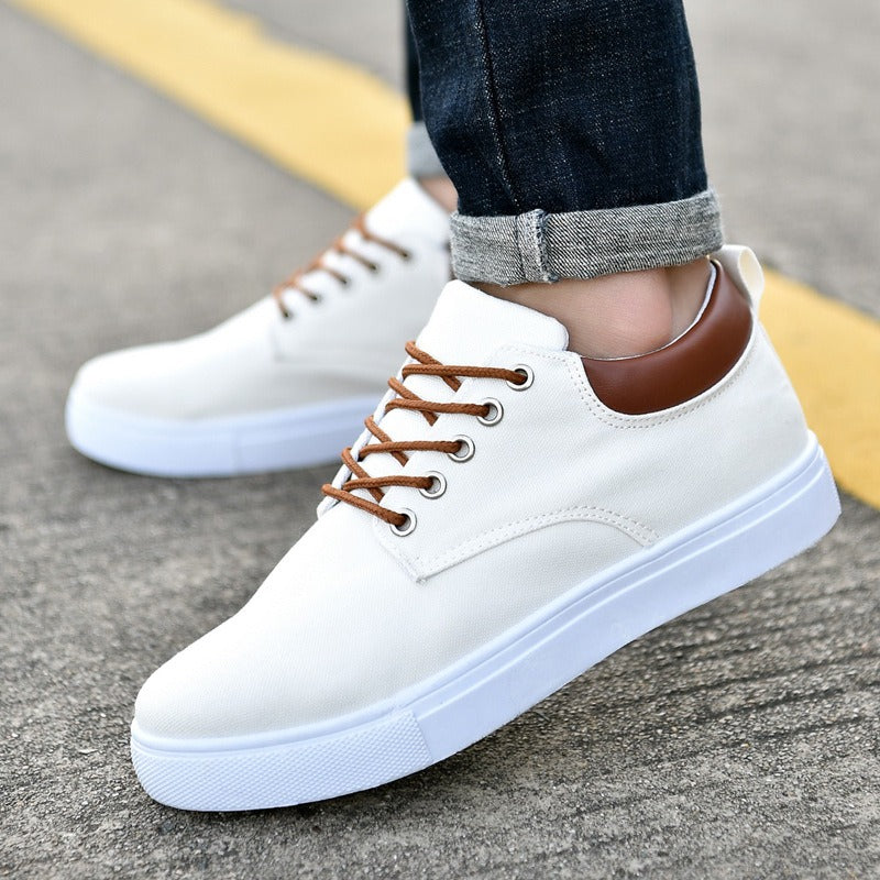 Men's Fashion Summer Spring Canvas Casual Shoes Lace Up Comfort Flat Sneakers Shoes | R009