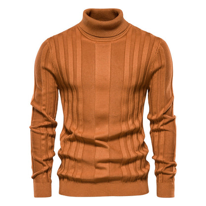 Pull à col roulé en tricot à rayures verticales pour hommes-SW28