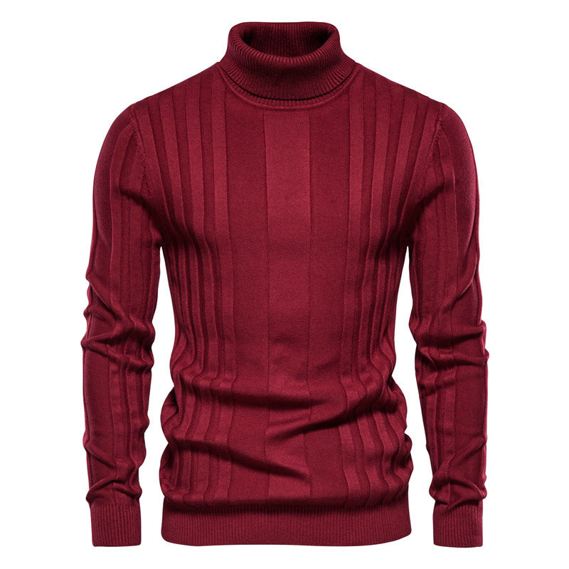 Pull à col roulé en tricot à rayures verticales pour hommes-SW28