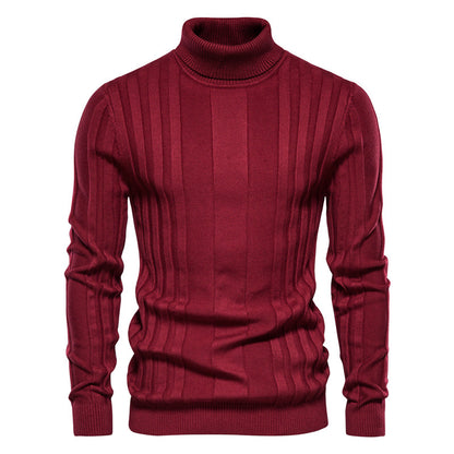 Pull à col roulé en tricot à rayures verticales pour hommes-SW28