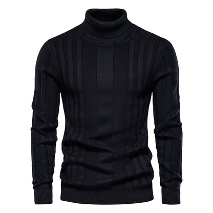 Pull à col roulé en tricot à rayures verticales pour hommes-SW28